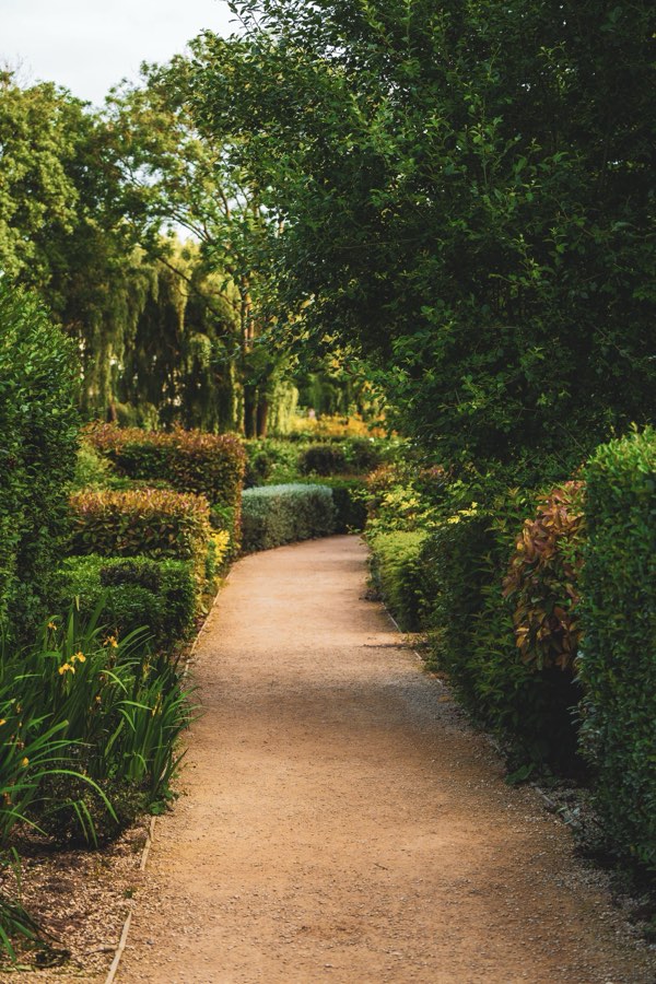 Hedge-lined walkway